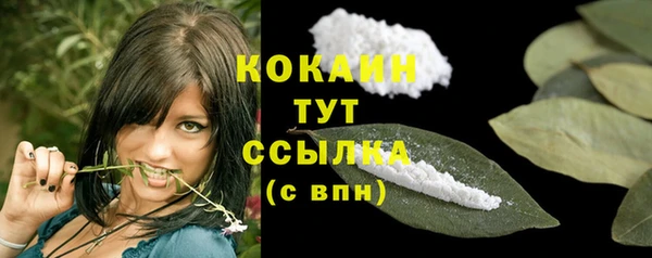 меф Мегион