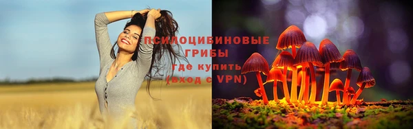 амф Медвежьегорск