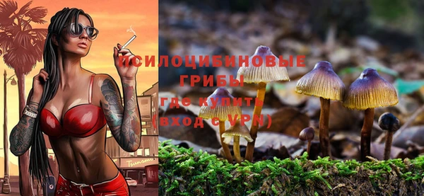 меф Мегион