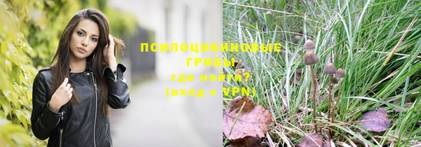 гашик Михайловка