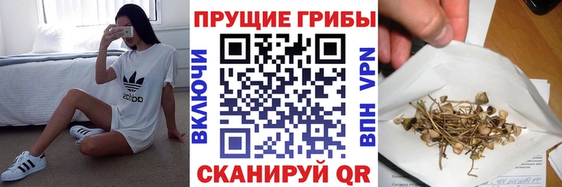 Псилоцибиновые грибы прущие грибы Мантурово